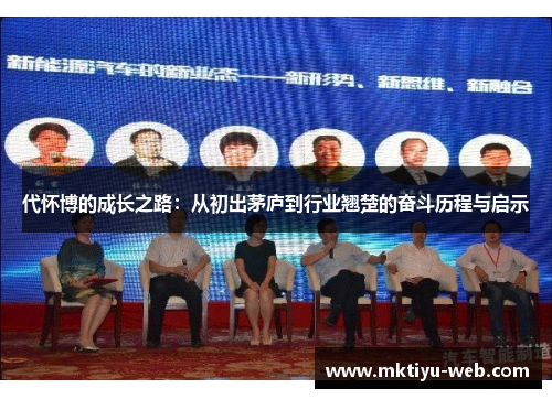 代怀博的成长之路：从初出茅庐到行业翘楚的奋斗历程与启示